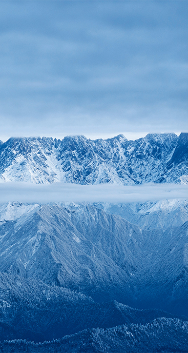 关于ag8亚洲游戏